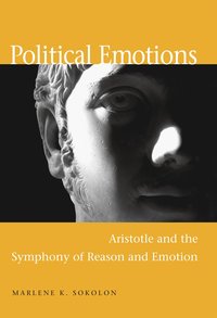 bokomslag Political Emotions