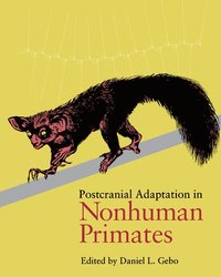 bokomslag Postcranial Adaptation in Nonhuman Primates
