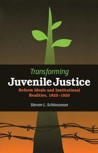 bokomslag Transforming Juvenile Justice