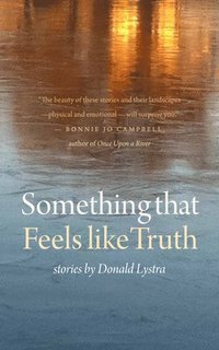 bokomslag Lystra, D: Something That Feels Like Truth