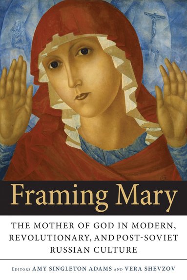 bokomslag Framing Mary