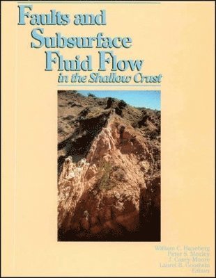William C. Haneberg, Peter S. Mozley, J. Casey Moore, Laurel B. Goodwin - Faults and Subsurface Fluid Flow in the Shallow Crust, Inbunden