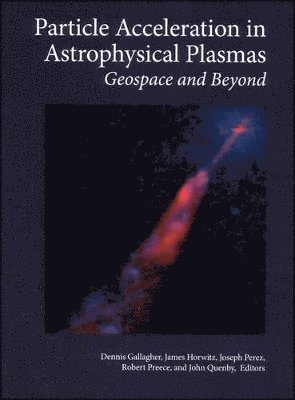 Dennis Gallagher, James Horwitz, Joseph Perez, Robert Preece, John Quenby - Particle Acceleration in Astrophysical Plasmas, Inbunden