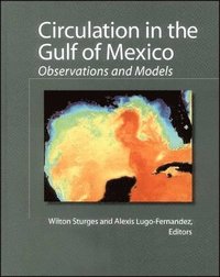 bokomslag Circulation in the Gulf of Mexico - Observations and Models V161