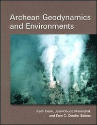 bokomslag Archean Geodynamics and Environments