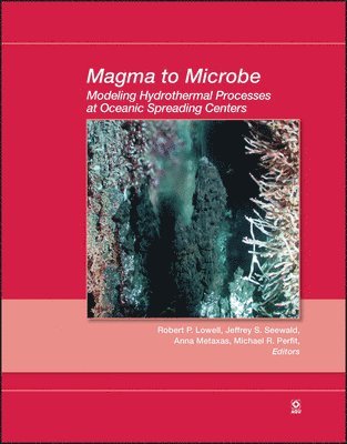 Robert P. Lowell, Robert P. Lowell, Jeffrey S. Seewald, Anna Metaxas, Michael R. Perfit - Magma to Microbe, Inbunden