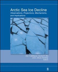 bokomslag Arctic Sea Ice Decline