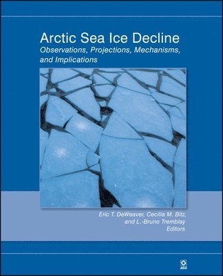Arctic Sea Ice Decline 1