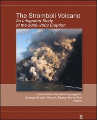 bokomslag The Stromboli Volcano - An Integrated Study of the 2002-2003 Eruption, Geophysical Monograph 182