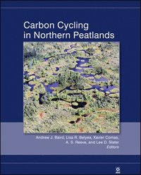 bokomslag Carbon Cycling in Northern Peatlands
