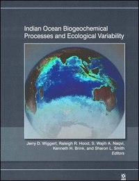 bokomslag Indian Ocean Biogeochemical Processes and Ecological Variability