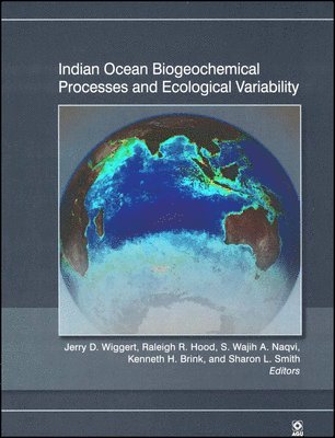 Jerry D. Wiggert, Raleigh R. Hood, S. Wajih A. Naqvi, Kenneth H. Brink, Sharon L. Smith - Indian Ocean Biogeochemical Processes and Ecological Variability, Inbunden