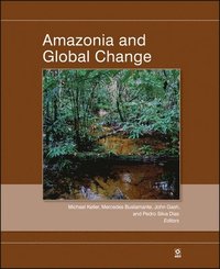 bokomslag Amazonia and Global Change