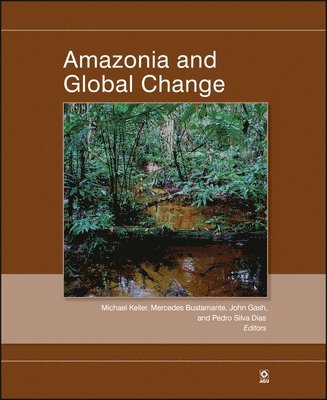Amazonia and Global Change 1