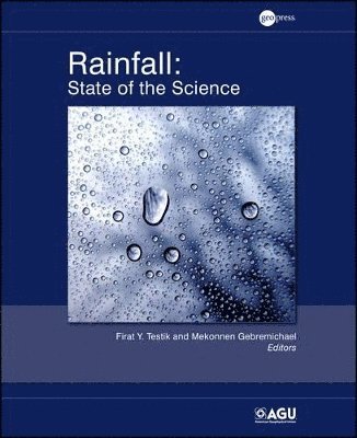 Firat Y. Testik, Mekonnen Gebremichael, Firat Y Testik - Rainfall, Inbunden