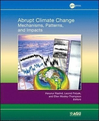 bokomslag Abrupt Climate Change