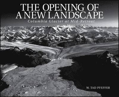 The Opening of a New Landscape 1