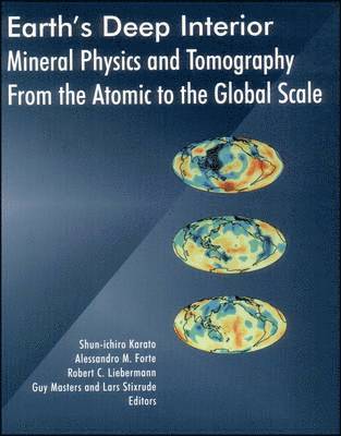 bokomslag Earth's Deep Interior - Mineral Physics and Tomography From the Atomic to the Global Scale, Geophysical Monograph 117