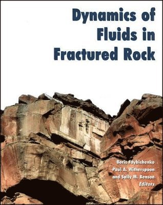 Boris Faybishenko, Paul A Witherspoon, Sally M Benson - Dynamics of Fluids in Fractured Rock, Inbunden
