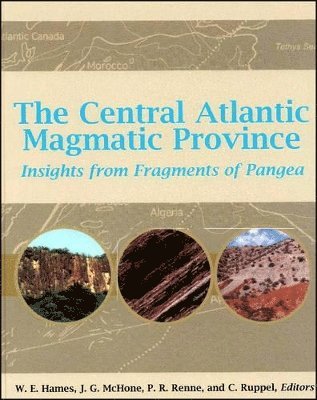 bokomslag The Central Atlantic Magmatic Province