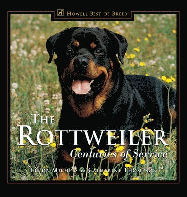 bokomslag The Rottweiler
