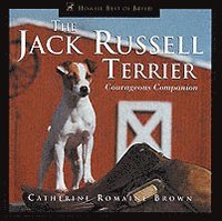 bokomslag The Jack Russell Terrier