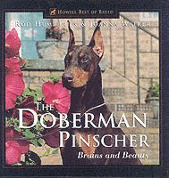 bokomslag The Doberman Pinscher: Brains and Beauty
