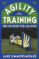 Agility Training