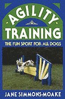 Agility Training 1