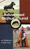 bokomslag Advanced Schutzhund