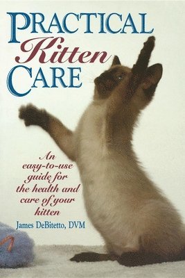 James DeBitetto - Practical Kitten Care, Häftad