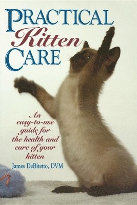 Practical Kitten Care 1