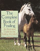 bokomslag Complete Book of Foaling
