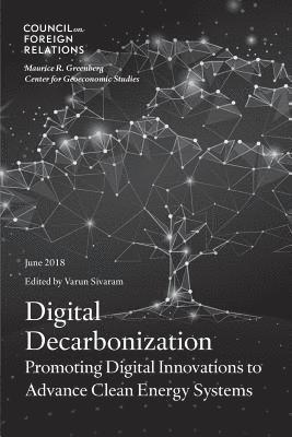 bokomslag Digital Decarbonization