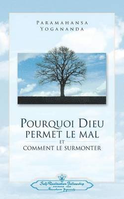 bokomslag Pourquoi Dieu permet le mal (Why God Permits Evil - French)