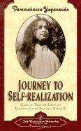 bokomslag Journey to Self-Realization