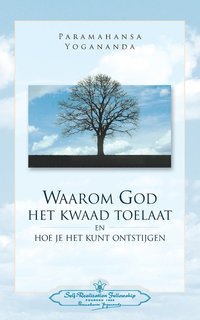 bokomslag Waarom God Het Kwaad Toelaat - Why God permits Evil (Dutch)