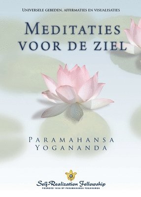 Metaphysical Meditations (Dutch) 1