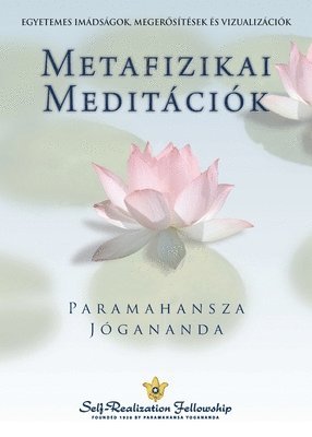 bokomslag Metaphysical Meditations (Hungarian)