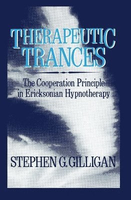 bokomslag Therapeutic Trances