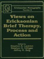 bokomslag Views On Ericksonian Brief Therapy