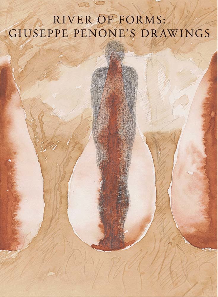 Carlos Basualdo - River of Forms, Inbunden