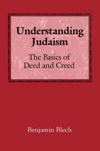 bokomslag Understanding Judaism