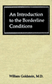 bokomslag Introduction to the Borderline Conditions
