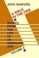 John Sanford - A Walk in the Fire, Häftad