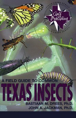 bokomslag A Field Guide to Common Texas Insects