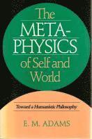 bokomslag Metaphysics of Self and World