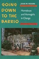 Going Down To The Barrio - Homeboys and Homegirls in Change 1