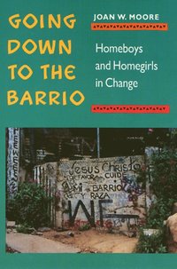 bokomslag Going Down to the Barrio