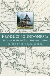 bokomslag Producing Indonesia
